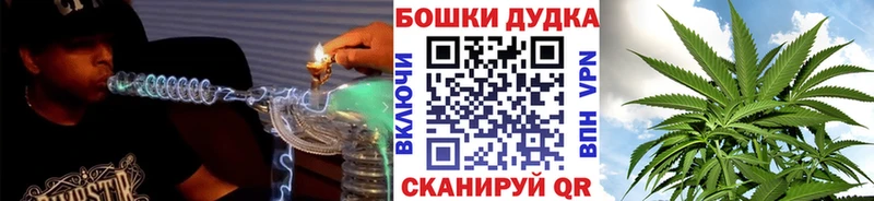 где можно купить Бакал МАРИХУАНА план